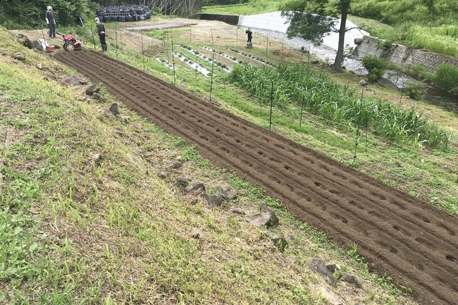 BLOG5