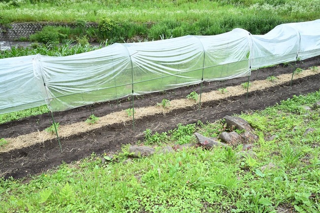 BLOG7