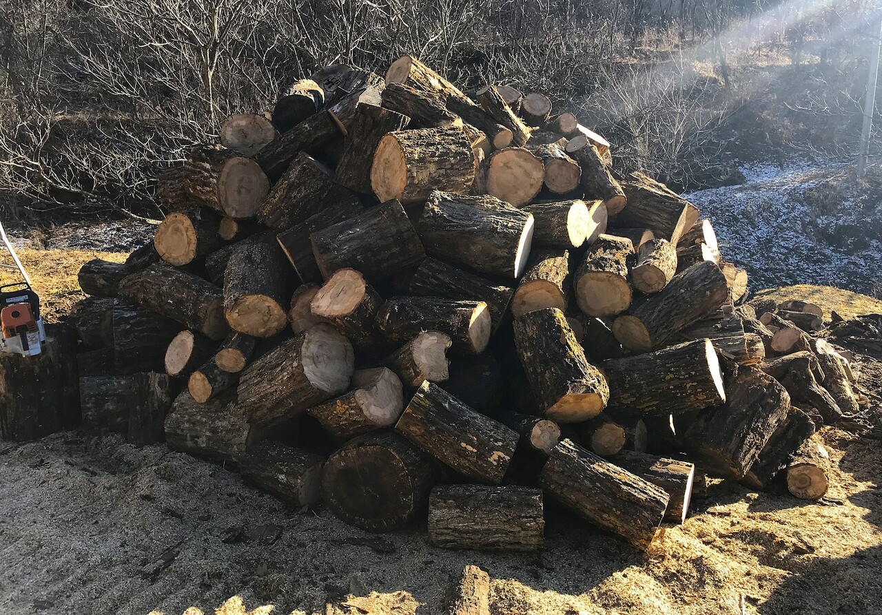 原木情報 No,7 (2025, Feb ) / ナラ＆クヌギ100％！！ 玉切り済み薪用