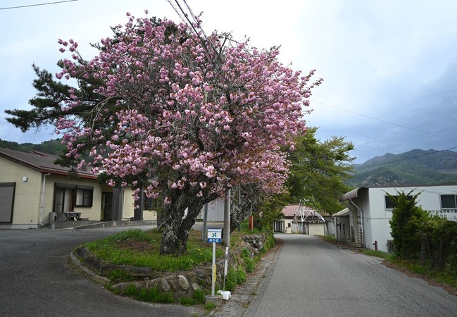 BLOG7