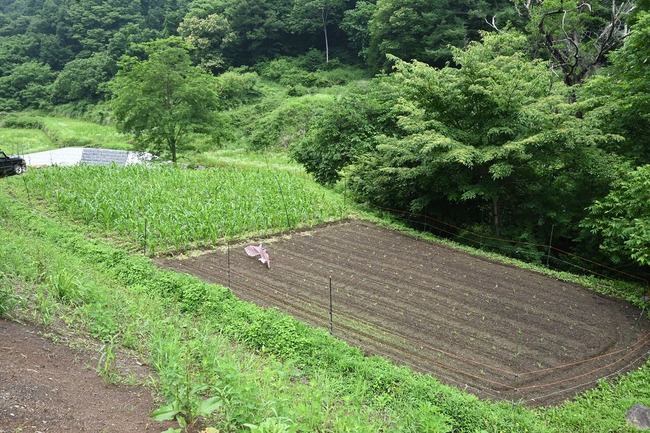 BLOG8