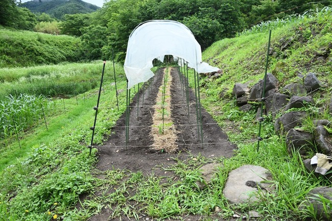 BLOG4