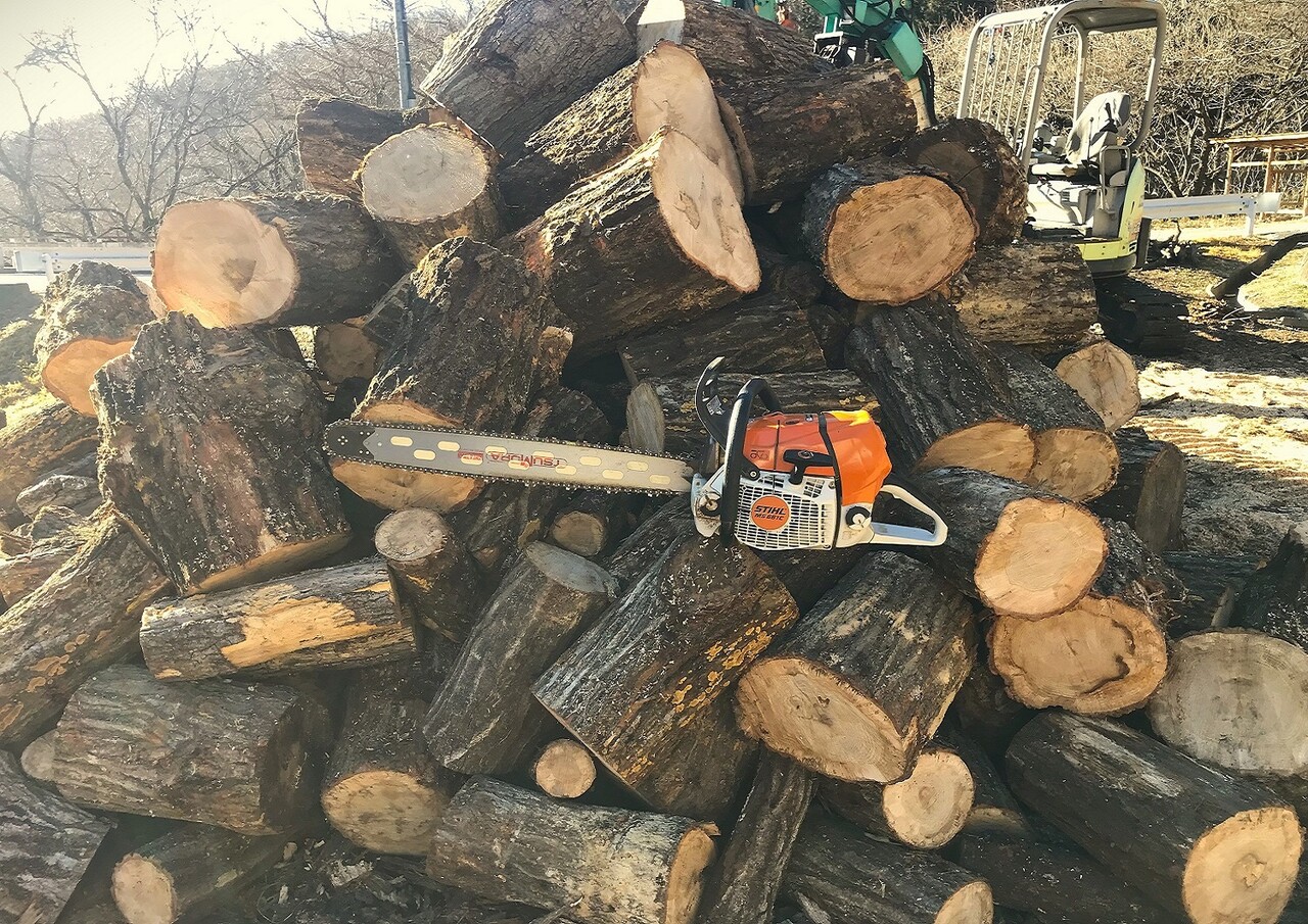 ナラ原木 玉切り