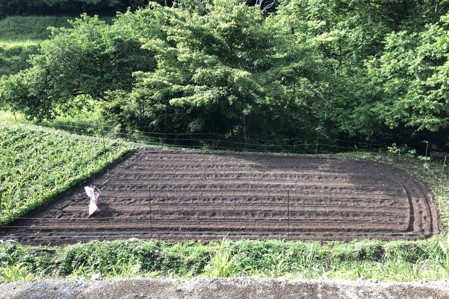 BLOG3