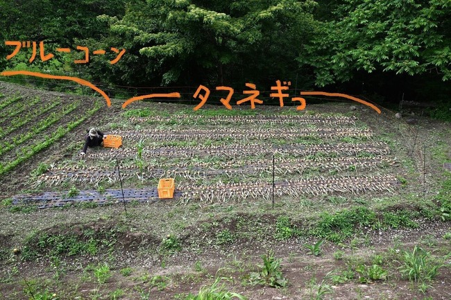 BLOG2