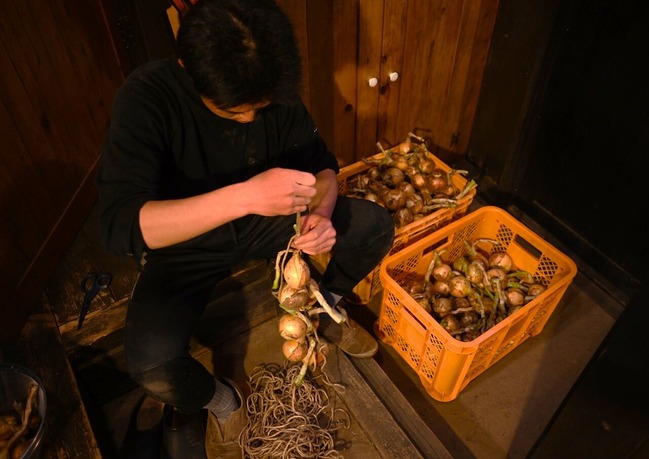 BLOG6