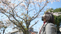 2022_iori_1001