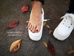 IMG_20211119_122153