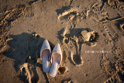 DSCF9367-復元