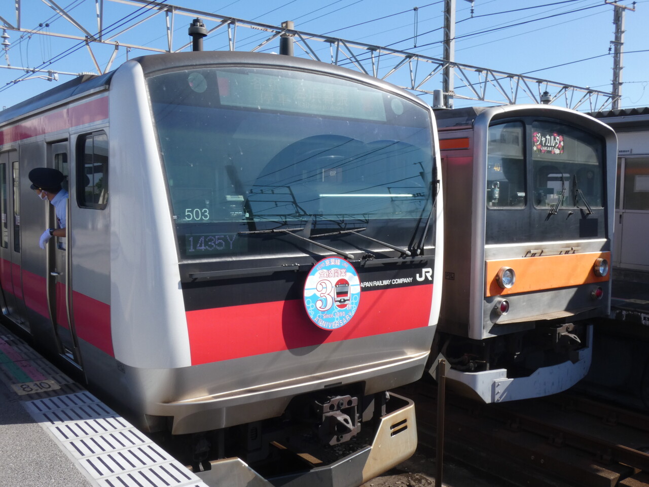 グッズ JR東日本 ジャカルタ実物幕紅葉柄 レプリカ 9WiPD-m92013105003