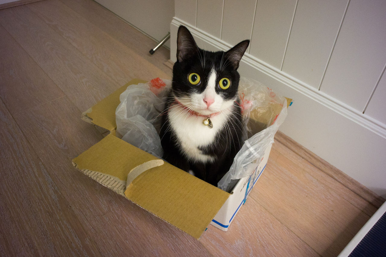 ふるさと納税 山形県東根市から納税証明書と米kg届きました さおは猫が好き 奨学金 貯金 投資 ふるさと納税 山形県東根市から納税証明書と米kg届きました さおは猫が好き 奨学金 貯金 投資