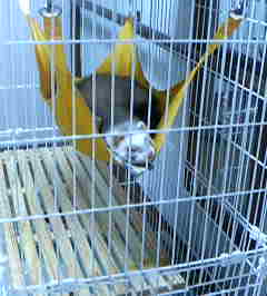 いたちと上大岡 さおりの日記 キックネス2ndインストラクター