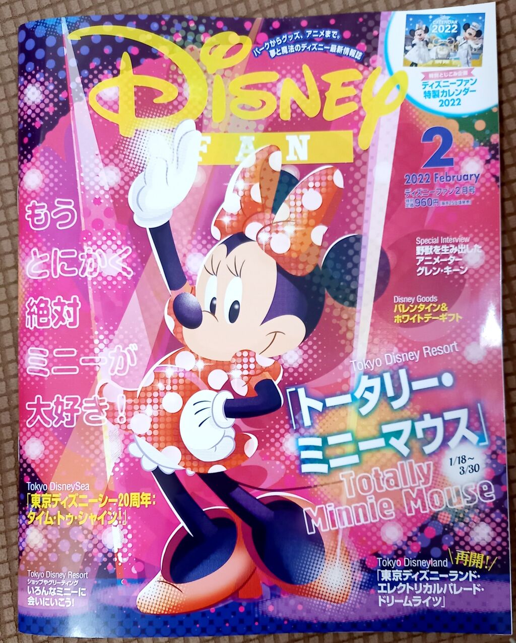Disney Fan 2月号 可愛いです ときどきお泊りディズニー 都内から