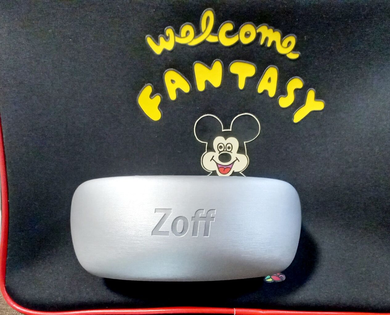Zoff ディズニー 花粉メガネ ときどきお泊りディズニー 都内から