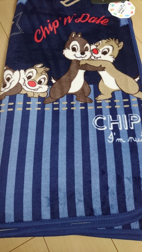 ときどきお泊りディズニー 都内から しまむら