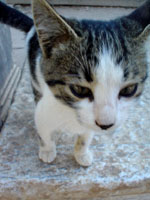 091978f3.jpg