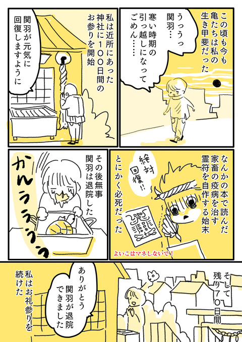 81622905-CCBB-4E9F-804F-776E691F2EE4