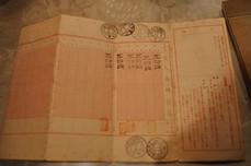 DSC_1805-s