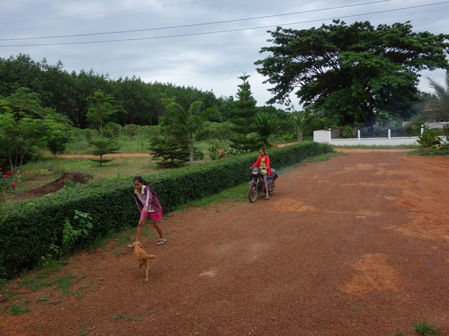 DSC05439