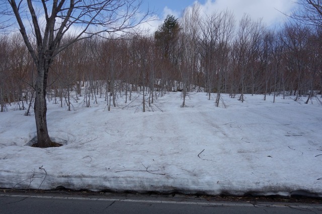 DSC03744