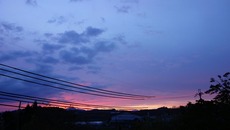 0553b791.jpg
