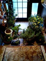 050906_0555~0001.jpg
