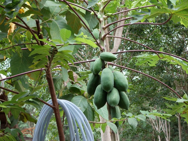 DSC05456