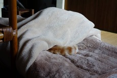 DSC02948