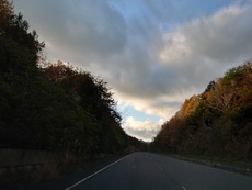 DSC_7083