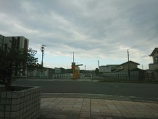 1de6b585.jpg