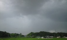 CA398270