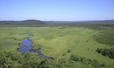 21e37f6e.jpg