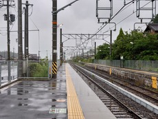 DSC_6426