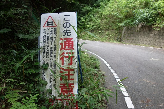 DSC04579