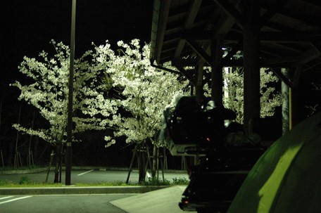 DSC_3654aaa