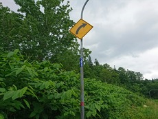 2dc2eb72.jpg