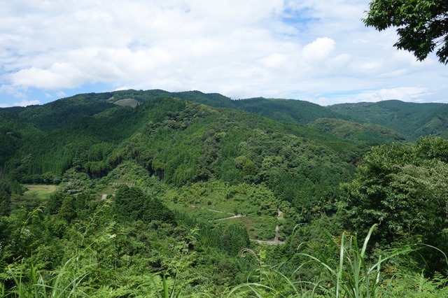 DSC04558