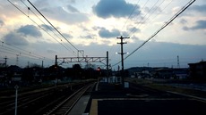382454f1.jpg