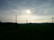 3b694211.jpg