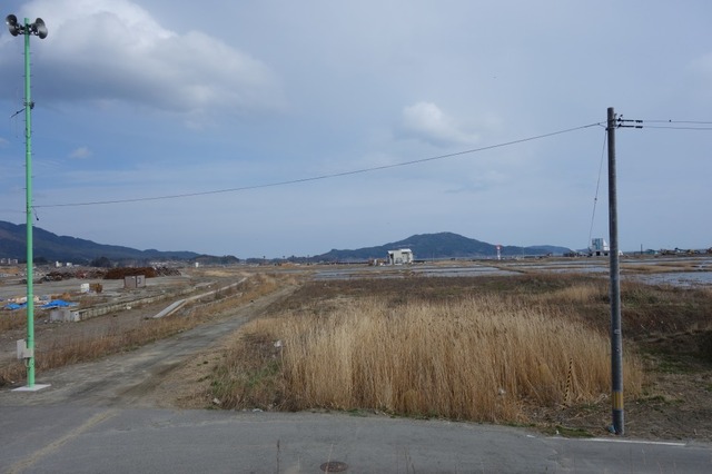 DSC03785