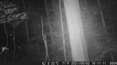 SnapCrab_NoName_2021-9-6_10-5-29_No-00