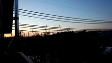 20130524044500-263