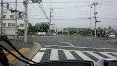 41484885.jpg
