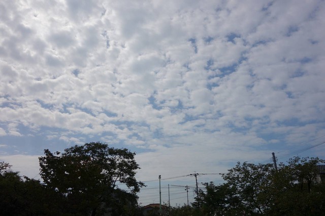 DSC00172