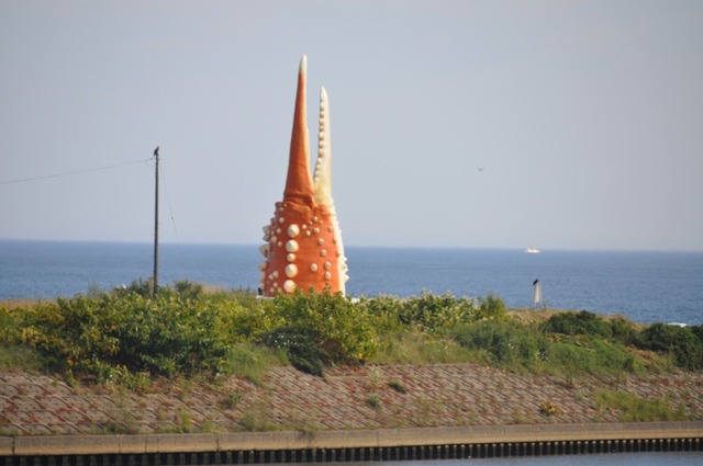 DSC_2019