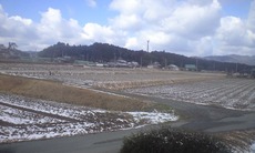 CA397794