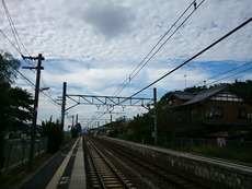 5723e588.jpg
