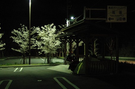 DSC_3660aaa