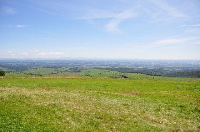 DSC_1587