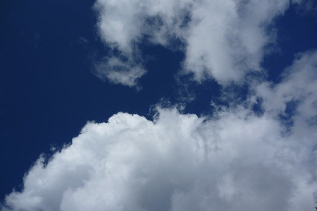 P1010235